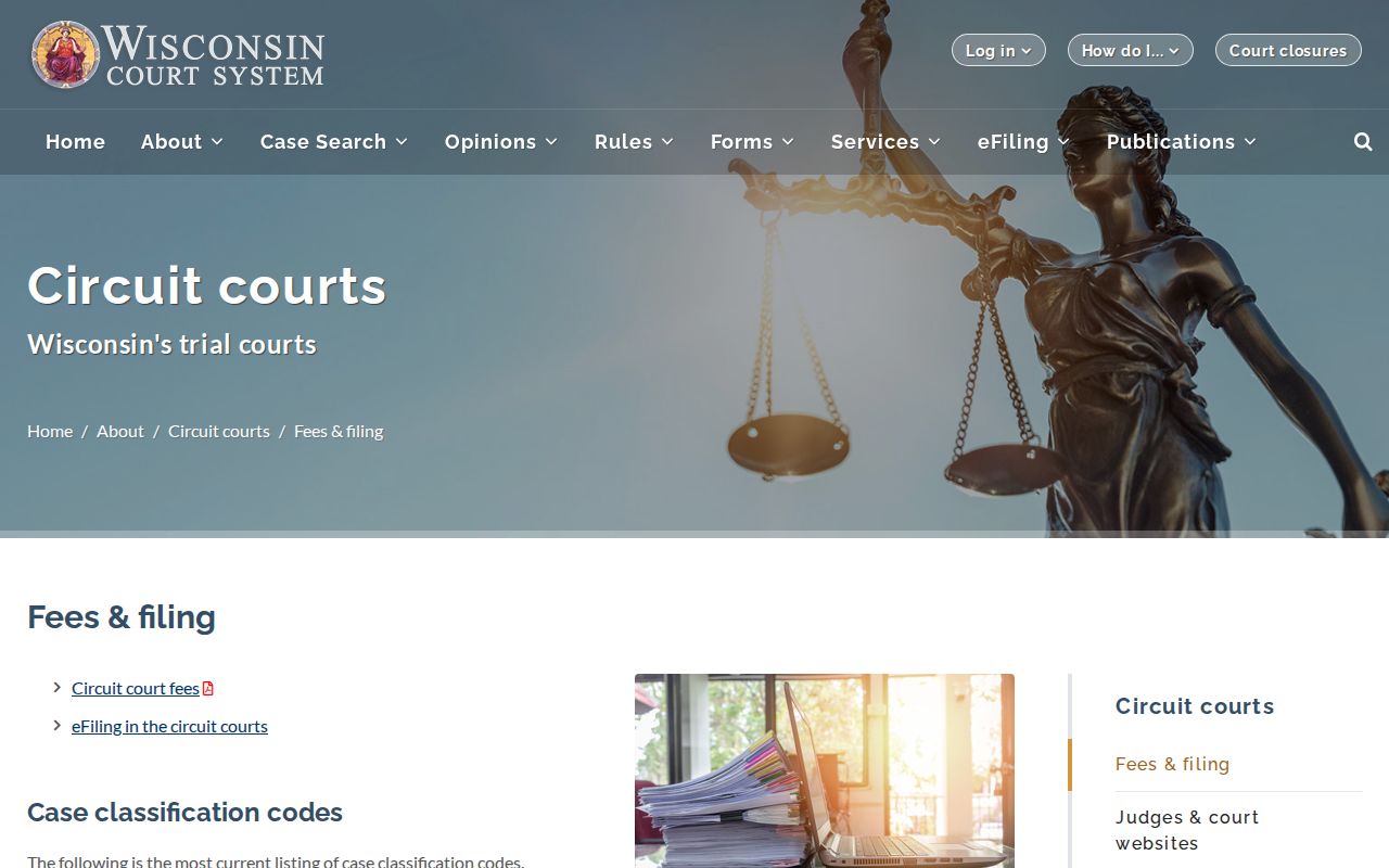 Eau Claire County civil docket filing classifications from Wisconsin courts